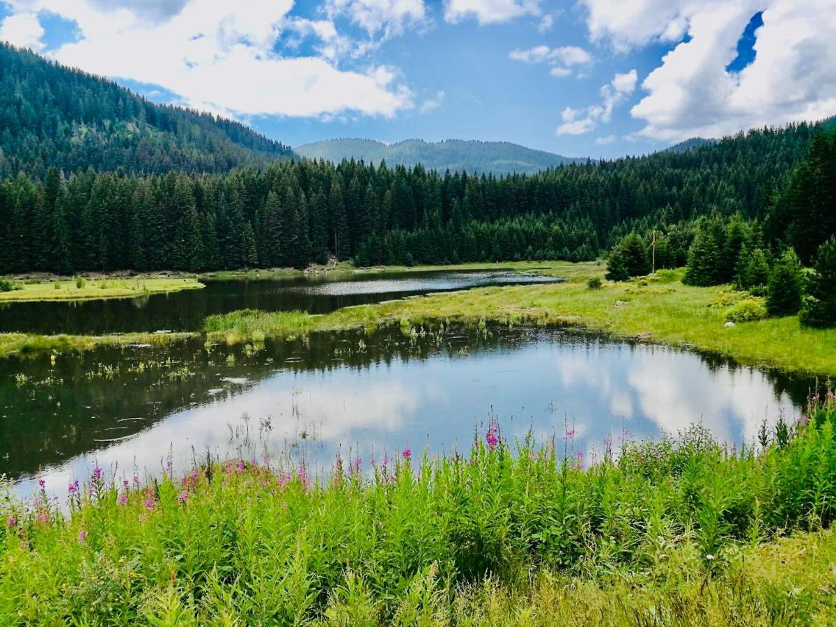 Secret Lake 533 At Oak Residence Smolyan Eksteriør bilde